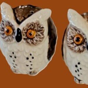 Vintage Angry Owls Salt and Pepper